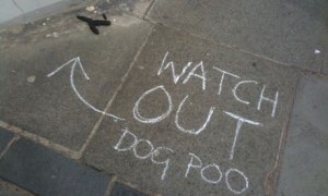 Dog-poo-2-002